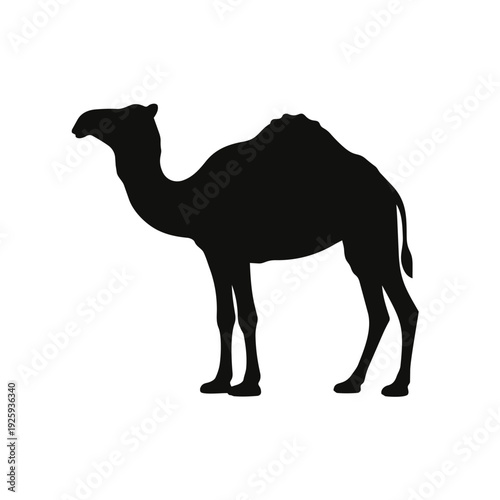 Minimalist Black Camel Silhouette Icon - Dromedary and Desert Livestock Flat Vector Illustration