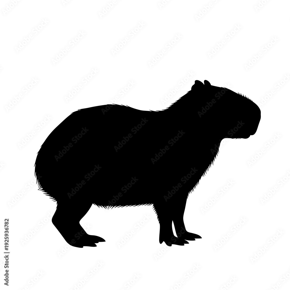 Obraz premium Capybara Silhouette Standing Alone on Isolated White Background