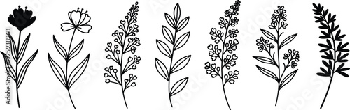 A collection of simple black and white illustrations of various plants and flowers displayed in a row