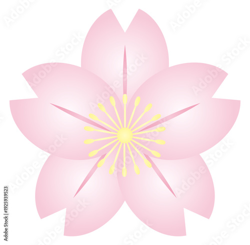 春の季節の桜の花、花びらをピンクや黄色のグラデーションを付けてベクターのイラストでデザインしたグラフィック素材