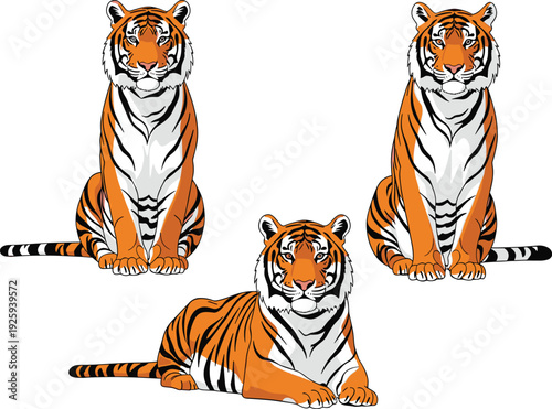 Illustration of Sitting Tigers in Different Poses
