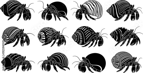 Hermit crab silhouettes collection, marine crustacean vector set, black ocean animal illustrations with shells, tropical wildlife design elements isolated