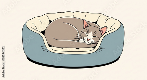 Sleeping gray cat curled up in a cozy blue and white pet bed on a plain background