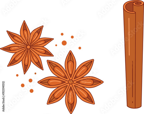 Star Anise and Cinnamon Stick Illustration