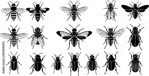 Insect silhouette vector collection featuring bees, wasps, flies, and beetles, detailed bug icons set for entomology design, education graphics, nature branding, and illustration projects