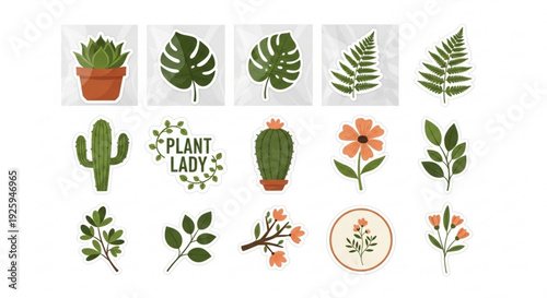 Variety of plants and flowers illustrations including cacti leaves and blooms for plant lovers and gardening enthusiasts
