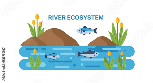 River ecosystem with fish plants and rocks in water representing a healthy aquatic environment