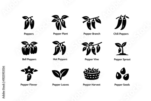 Black pepper icons: plant, vine, harvest, seeds, leaves