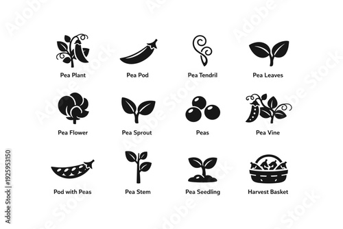 Pea plant icons: pods, tendrils, leaves, flowers, vines, sprouts, and harvest basket