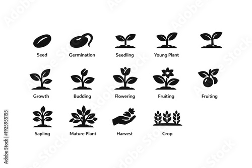 Plant growth stages icons: seed to mature crop lifecycle