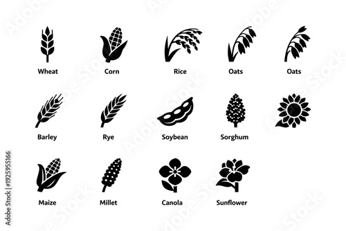 Silhouette icons of wheat, corn, rice, oats, barley, and more agricultural crops