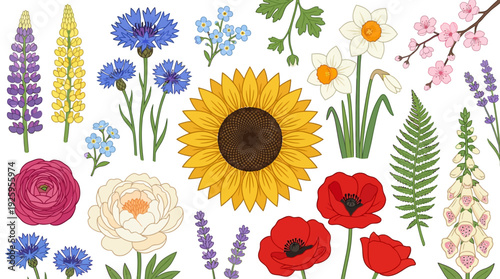 Vibrant Vector Floral Collection: Diverse Spring & Summer Flowers, Wildflowers, Botanical Elements for Design