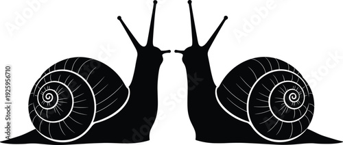 Two snails symmetrical silhouettes isolated on white background, detailed spiral shell mollusk vector illustration design
