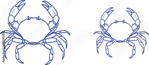 Crab line art vector illustration set with blue outline marine crustacean drawings, minimalist ocean animal design isolated on white for seafood, education and nautical projects