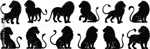 Lion silhouette set with multiple standing and sitting poses isolated on white background, black wild animal vector illustration collection for safari and wildlife design