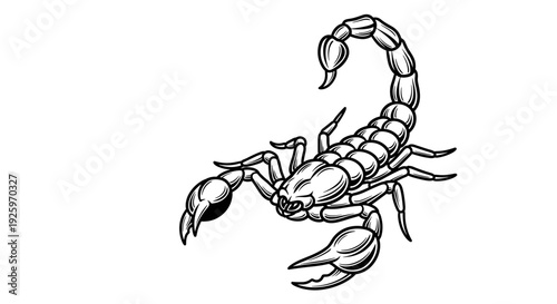 Black and White Scorpion Illustration 1.