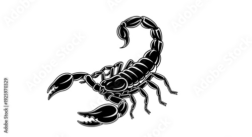 Black and White Scorpion Illustration.