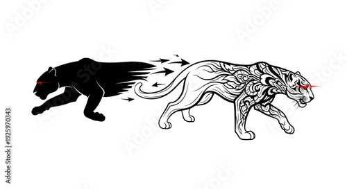 Black and White Panther Illustration Side View.