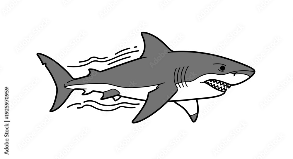 Obraz premium Gray Shark Swimming with Open Mouth.