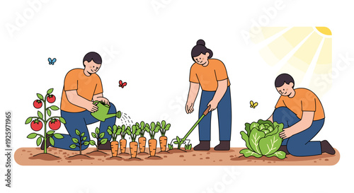 Three People Harvesting Vegetables in Garden.