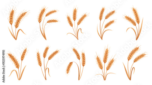 Collection of cute cartoon wheat plants in a grid arrangement viewed from directly above.