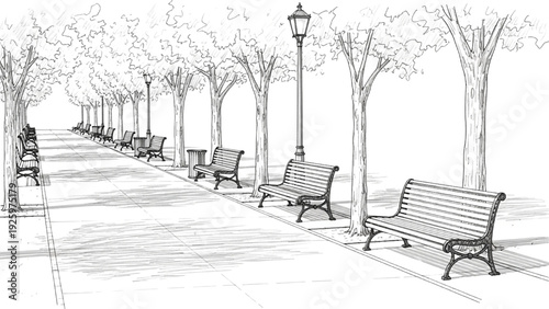 Monochrome hand-drawn illustration of a serene park promenade, featuring classic benches and shaded trees under lampposts