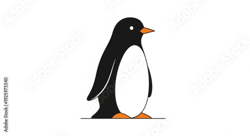 Cute penguin standing alone on white background black and white bird with orange beak and feet