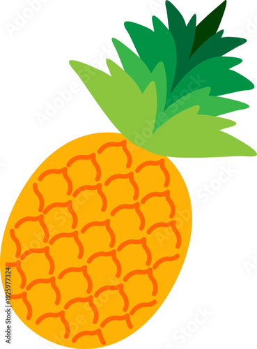 vector illustration of pineapple