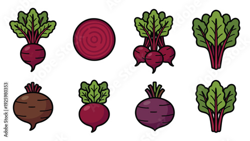 Beetroot Illustration Set Whole Sliced and Leaves