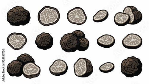 Black Truffle Mushroom Illustration Set with Whole and Sliced Variations