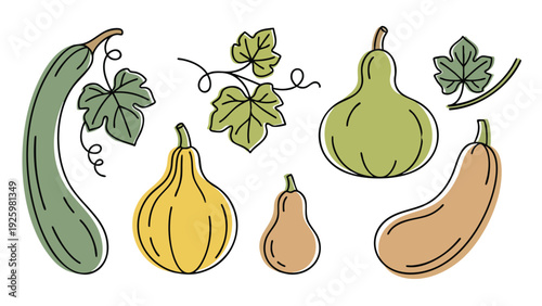 Bottle Gourd Illustration Set with Leaves Vines and Different Shapes