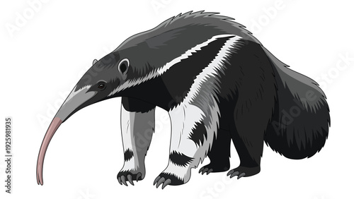 Giant Anteater Vector Art Isolated on White Background