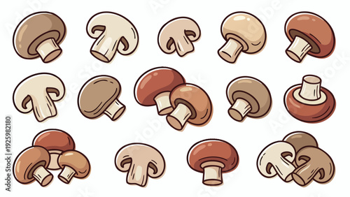 Button Mushroom Illustration Set in Different Shapes and Colors