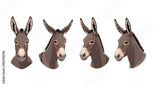 Adorable Donkey Head Illustrations Set with Multiple Angles