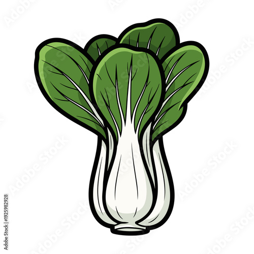 Bok choy on white background