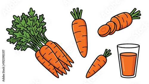 Carrot Vegetable Illustration Set with Whole, Sliced Carrots and Carrot Juice