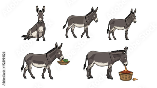 Cartoon Donkey Character Poses and Actions Set Isolated on White Background