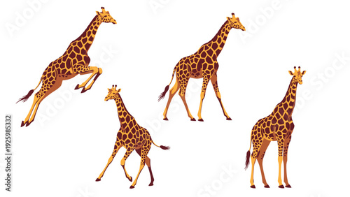 Giraffes in Motion: Set of Four Vector Illustrations of African Wildlife on White Background