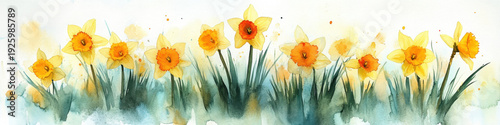 Watercolor daffodil flower spring floral border yellow blossom meadow orange center petal garden grass field nature illustration art pastel color painting botanical design banner