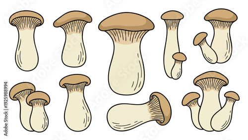 King Oyster Mushroom Icon Set with Whole Mushrooms and Clusters Hand Drawn Vector