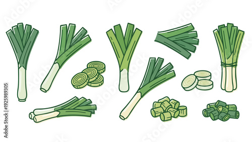Leek Illustration Set with Whole Stalks Slices and Chopped Pieces Hand Drawn Vector