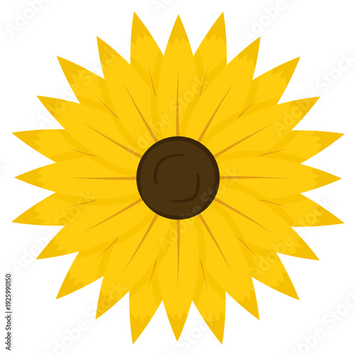 sunflower illustration