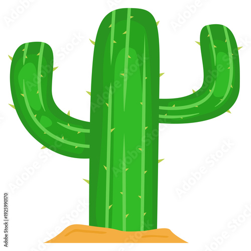 cactus vector illustration