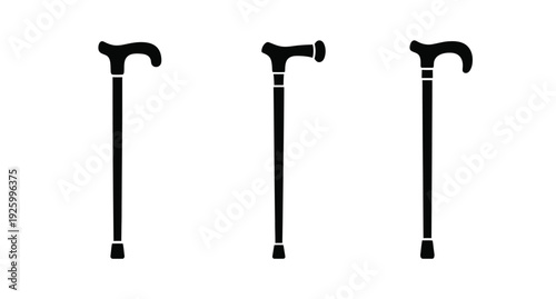 Three ornate walking canes are displayed in black silhouette