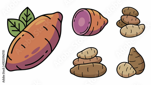 Yam Root and Sliced Tuber Icon Set
