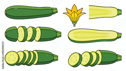 Zucchini Vegetable and Sliced Courgette Icon Set