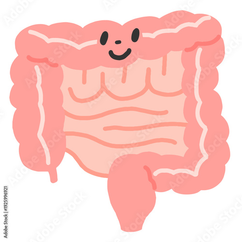 笑顔の顔がついている腸のイラスト