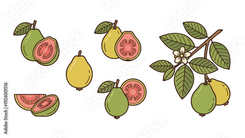 Guava Fruit Icons Set Cartoon Style Whole Cut Slice Flower and Branch