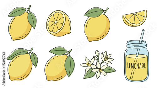 Lemon Fruit Icons Set Cartoon Style Whole Slice Flower and Lemonade
