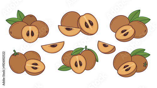 Sapodilla Icons Set With Whole And Cut Fruit